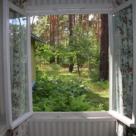 Liebenswertes Sommerhaus In Seenaehe