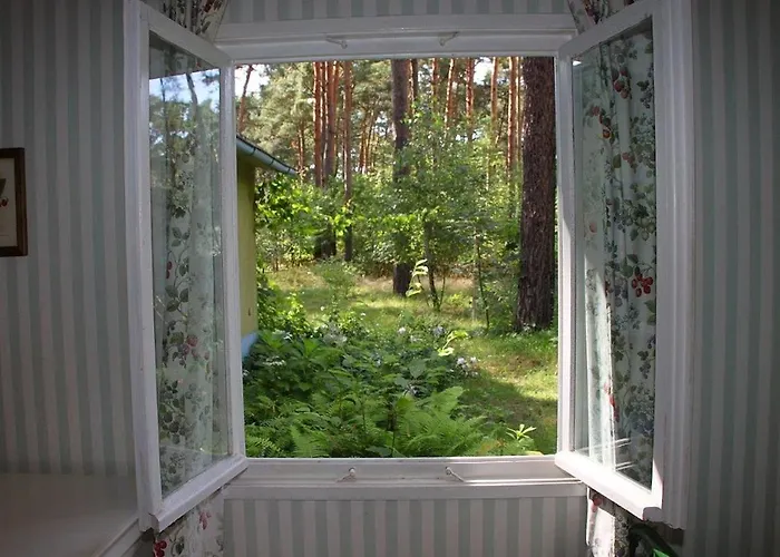 Liebenswertes Sommerhaus In Seenaehe